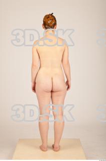 Body texture of Heda 0025